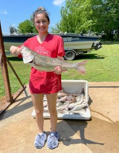 Lake Texoma Striped Bass